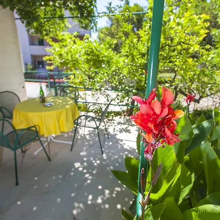 Kumpar マカルスカ